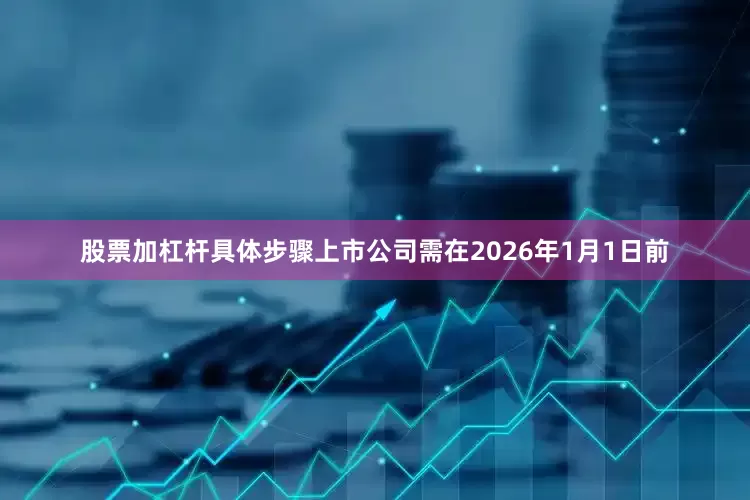 股票加杠杆具体步骤上市公司需在2026年1月1日前